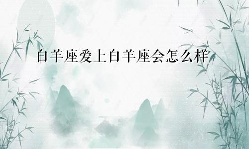 白羊座爱上白羊座会怎么样