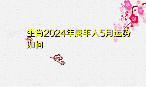 生肖2024年属羊人5月运势如何