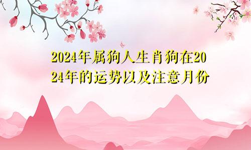 2024年属狗人生肖狗在2024年的运势以及注意月份