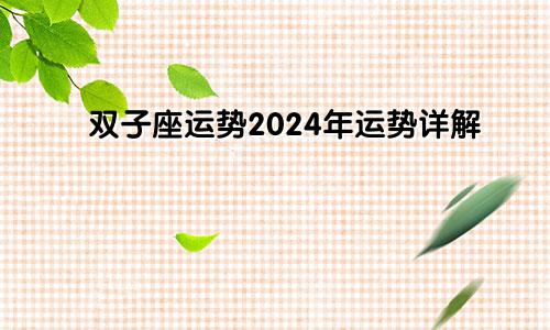 双子座运势2024年运势详解