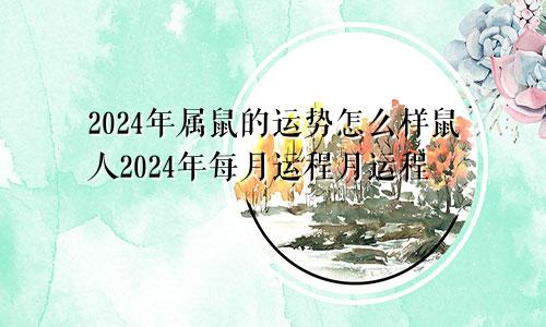 2024年属鼠的运势怎么样鼠人2024年每月运程月运程