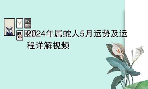 2024年属蛇人5月运势及运程详解视频