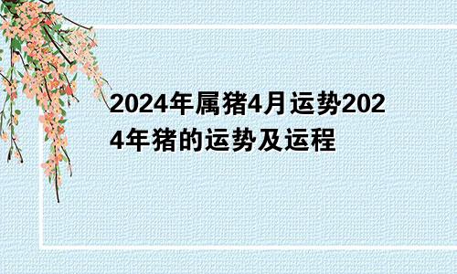 2024年属猪4月运势2024年猪的运势及运程