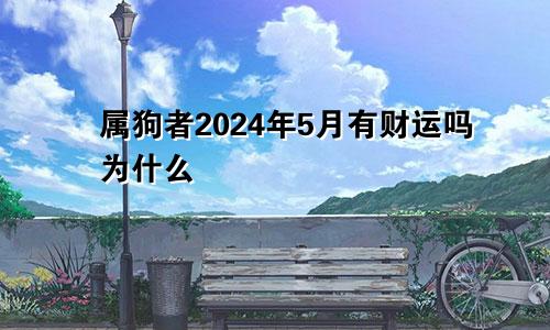 属狗者2024年5月有财运吗为什么