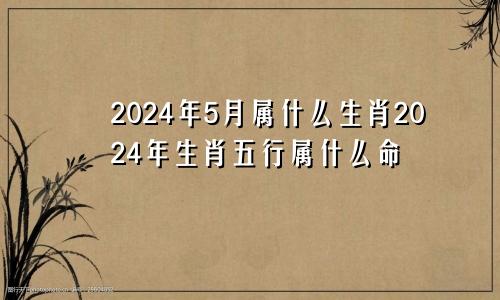 2024年5月属什么生肖2024年生肖五行属什么命