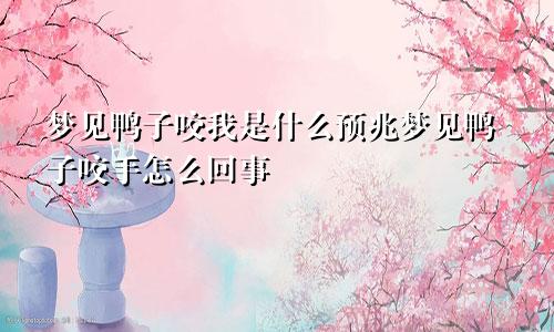 梦见鸭子咬我是什么预兆梦见鸭子咬手怎么回事