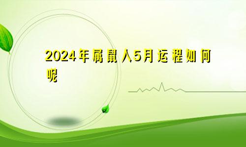 2024年属鼠人5月运程如何呢