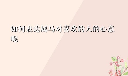 如何表达属马对喜欢的人的心意呢