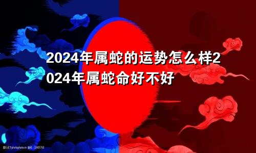 2024年属蛇的运势怎么样2024年属蛇命好不好