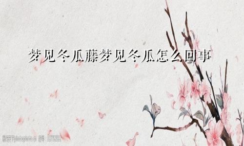 梦见冬瓜藤梦见冬瓜怎么回事