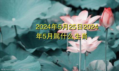 2024年5月25日2024年5月属什么生肖