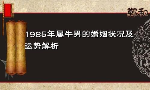 1985年属牛男的婚姻状况及运势解析