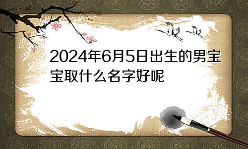 2024年6月5日出生的男宝宝取什么名字好呢