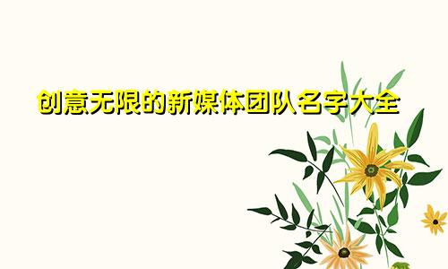 创意无限的新媒体团队名字大全