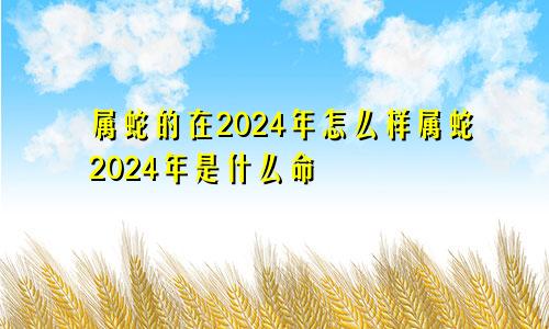 属蛇的在2024年怎么样属蛇2024年是什么命