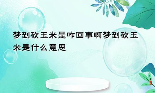 梦到砍玉米是咋回事啊梦到砍玉米是什么意思