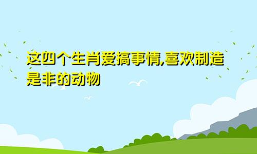 这四个生肖爱搞事情,喜欢制造是非的动物