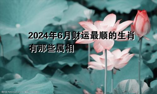 2024年6月财运最顺的生肖有那些属相