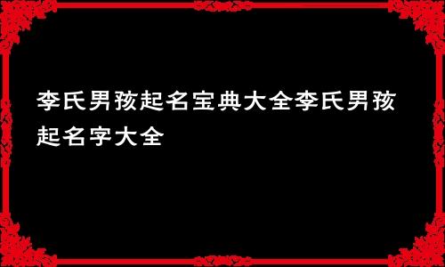 李氏男孩起名宝典大全李氏男孩起名字大全