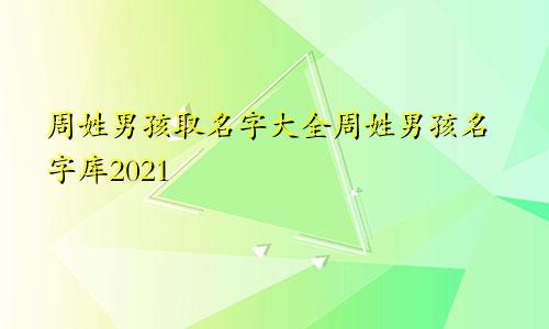 周姓男孩取名字大全周姓男孩名字库2021