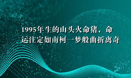 1995年生的山头火命猪，命运注定如南柯一梦般曲折离奇