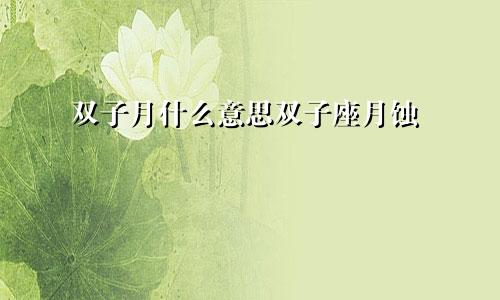 双子月什么意思双子座月蚀