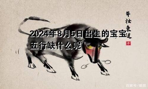 2024年8月5日出生的宝宝五行缺什么呢