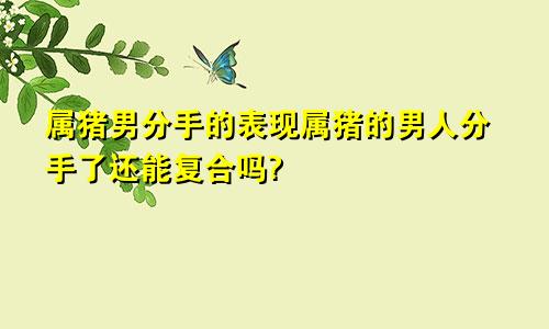 属猪男分手的表现属猪的男人分手了还能复合吗?