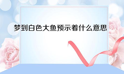 梦到白色大鱼预示着什么意思