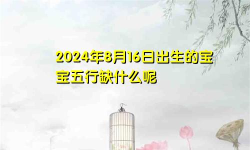 2024年8月16日出生的宝宝五行缺什么呢