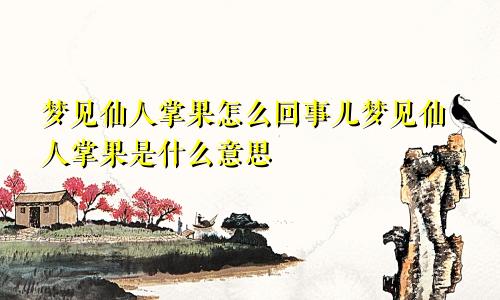 梦见仙人掌果怎么回事儿梦见仙人掌果是什么意思