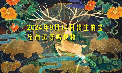 2024年9月14日出生的宝宝命运好吗视频