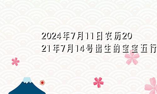 2024年7月11日农历2021年7月14号出生的宝宝五行缺什么