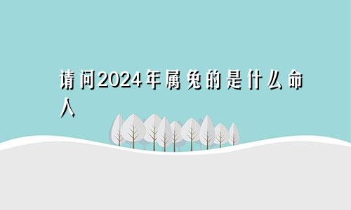 请问2024年属兔的是什么命人