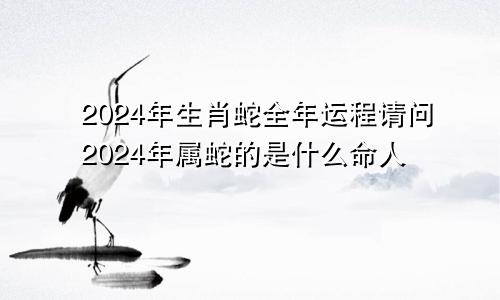 2024年生肖蛇全年运程请问2024年属蛇的是什么命人