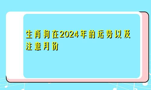 生肖狗在2024年的运势以及注意月份