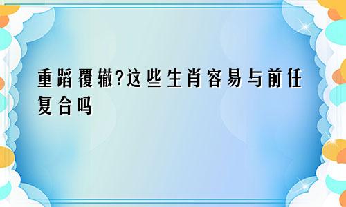 重蹈覆辙?这些生肖容易与前任复合吗