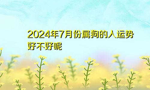 2024年7月份属狗的人运势好不好呢