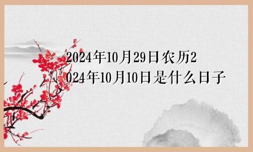 2024年10月29日农历2024年10月10日是什么日子