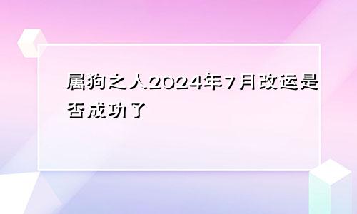 属狗之人2024年7月改运是否成功了