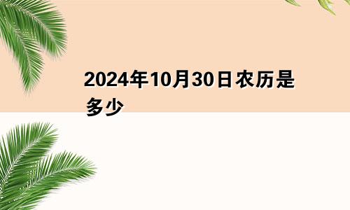 2024年10月30日农历是多少