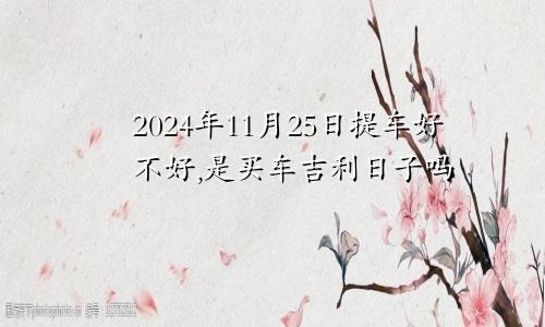 2024年11月25日提车好不好,是买车吉利日子吗