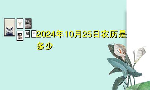 2024年10月25日农历是多少