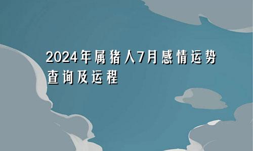 2024年属猪人7月感情运势查询及运程