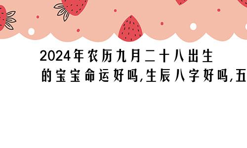 2024年农历九月二十八出生的宝宝命运好吗,生辰八字好吗,五行缺什么