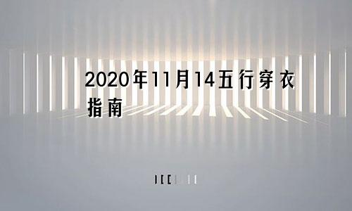 2020年11月14五行穿衣指南