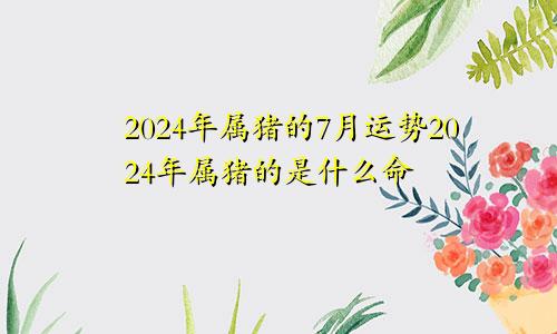 2024年属猪的7月运势2024年属猪的是什么命