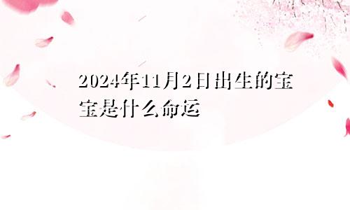 2024年11月2日出生的宝宝是什么命运