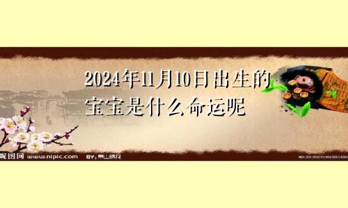 2024年11月10日出生的宝宝是什么命运呢