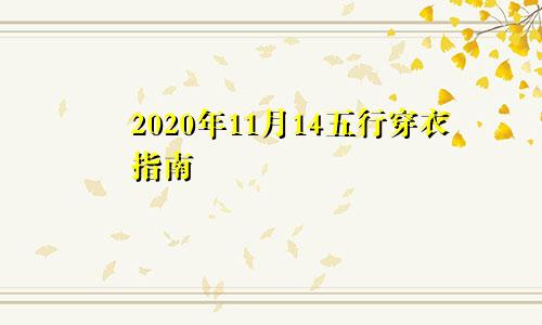 2020年11月14五行穿衣指南